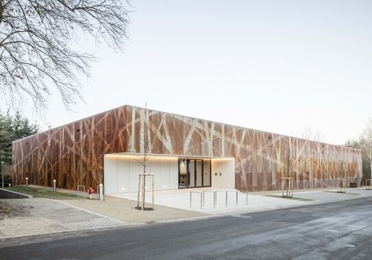 Dreifeldsporthalle_Bridel_02-ydxbs0qftwmb7js (1)